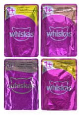 Whiskas WHISKAS Piščančje in Puranje dobrote v želeju - mokra hrana za mačke - 80 x 85 g, za zdravo in srečno mačje življenje