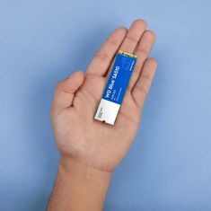 WD Western Digital Blue SA510 500 GB M.2 SSD, Serial ATA III, visoka hitrost branja in pisanja za PC in prenosnike