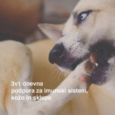 DogBarKode Paket Mobility + Multi Chew, podpora imunskemu sistemu, sklepom in prebavi, naravni mehki priboljški z glukozaminom, probiotiki, konopljo in vitamini, mobility+multi
