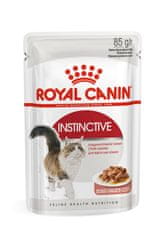 Royal Canin Royal Canin FHN Instinctive - vlažna hrana v pastetni obliki za odrasle mačke, 12x 85g, za zahtevne jedce.