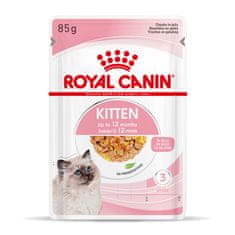 Royal Canin Royal Canin FHN Mladost v želeju - mokra hrana za mladiče - 12x85g, hrana za mačke vseh pasem
