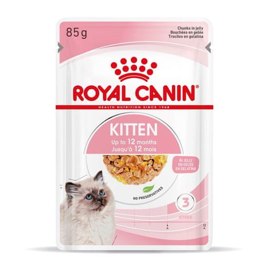Royal Canin Royal Canin FHN Mladost v želeju - mokra hrana za mladiče - 12x85g, hrana za mačke vseh pasem