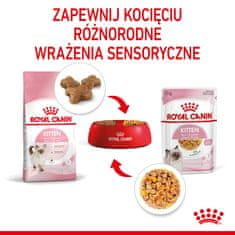 Royal Canin Royal Canin FHN Mladost v želeju - mokra hrana za mladiče - 12x85g, hrana za mačke vseh pasem