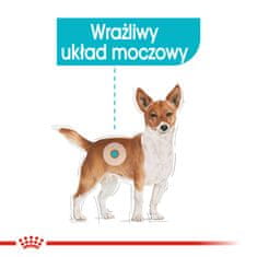Royal Canin Royal Canin CCN Urinary Care mesna kaša za odrasle pse - 12 x 85 g, nadzor urinarnega trakta, vsa pasma, mokra hrana