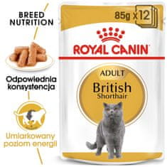 Royal Canin ROYAL CANIN mokra hrana za britanske mačke, paket 12x85g, primerna za odrasle, z okusom perutnine