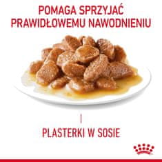 Royal Canin ROYAL CANIN Hairball Care Mokra mačja hrana, kosi v omaki, 12x85 g, za odrasle mačke, brez konzervansov, anti-hairball