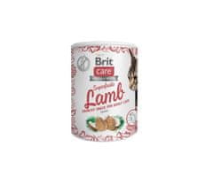 Brit BRIT Care Pasji priboljški Superfruits Lamb - 100 g
