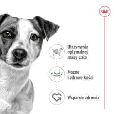 Royal Canin ROYAL CANIN Mini Adult - mokra hrana za pse, 12 x 85 g - zdravje kože, uravnava težo, močnimi kostmi