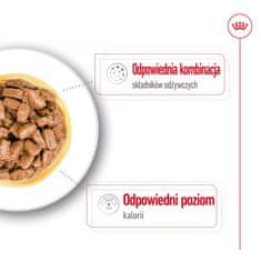 Royal Canin ROYAL CANIN Mini Ageing 12+ - mokra hrana za pse - 12 x 85 g, za majhne pasme, brez konzervansov, z okusom perutnine