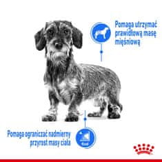 Royal Canin ROYAL CANIN Wet hrana za pse Light Weight Care, 12 x 85 g, za odrasle pse z nagnjenjem k prekomerni teži