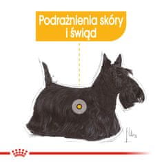 Royal Canin ROYAL CANIN Dermacomfort vlažna hrana za pse - 12 x 85 g, za zdravo kožo in dlako, primerna za vse pasme, odrasle pse