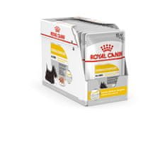 Royal Canin ROYAL CANIN Dermacomfort vlažna hrana za pse - 12 x 85 g, za zdravo kožo in dlako, primerna za vse pasme, odrasle pse