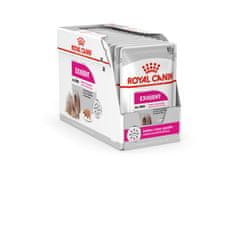 Royal Canin ROYAL CANIN Exigent mokra hrana za pse, pate 12x85 g - razvajanje za odrasle pse vseh pasem s fussy apetiti