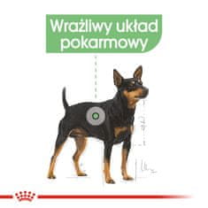 Royal Canin ROYAL CANIN CCN DIGESTIVE CARE LOAF - mokra hrana za odrasle pse - 12x85g, podpora prebavi za vse pasme