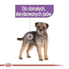 Royal Canin Royal Canin CCN Sterilizirana Pate - vlažna hrana za odrasle pse - 12x85g, primerna za vse pasme, zdrava teža