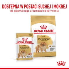 Royal Canin Royal Canin Pomeranian Adult - suha hrana za pse, 3 kg, za zdravo prehrano majhnih pasem
