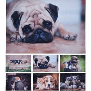 HOMESTYLING Predpražnik KO-GR1001000peko čistilna mizica 58X38cm za psa in mucka