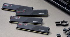 G.Skill G.Skill Ripjaws S5 32GB (2x16GB) DDR5 3000MHz, XMP 3.0, Dual-channel, breznapetostna pomnilniška enota za PC/Server