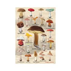 Dino Kolaž gob 1000 Puzzle