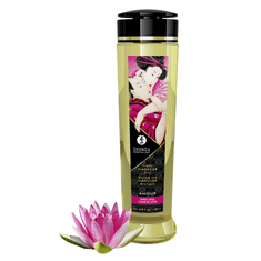 Shunga - Masažno olje Romance jagode in šampanjec
