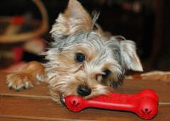 Flamingo KONG Toy bone Goodie S