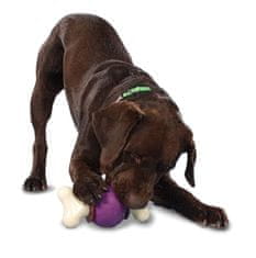 PetSafe Bouncy Bone L