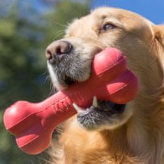 Flamingo KONG Toy bone Goodie M