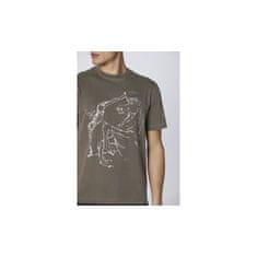Aeronautica Militare Majice siva L TS2338J63357580