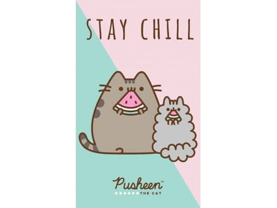 Carbotex Otroška brisača 30/50cm Pusheen, PTC213014