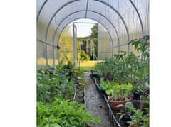 TopRastlinjaki Top Rastlinjak AGROSFERA GRETA 200 x 600 cm - TOP Polikarbonat PALRAM 800 g/m² + 1x okno + 1x avt. odpiralec okna