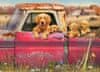 Farm Puzzle 1000 kosov