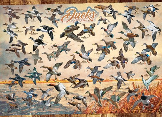 Cobble Hill Puzzle Kače Severne Amerike 1000 kosov