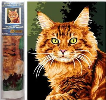 Norimpex Diamantna slika Ginger cat 30x40cm