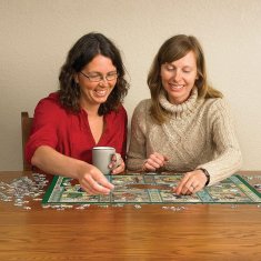 Cobble Hill Puzzle Jardiniere: vrtnarski koledar 1000 kosov