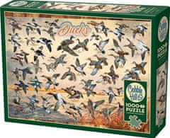 Cobble Hill Puzzle Kače Severne Amerike 1000 kosov