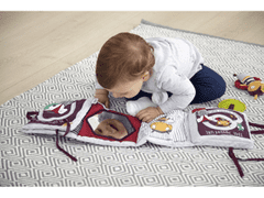 MAMAS & PAPAS Čarobna igralna plošča z dejavnostmi Ladybug