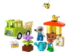 LEGO LEGO DUPLO 10419 Čebele in Panji – Set za otroke od 2. leta s 22 kockami in 2 minifigurama.