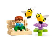 LEGO LEGO DUPLO 10419 Čebele in Panji – Set za otroke od 2. leta s 22 kockami in 2 minifigurama.