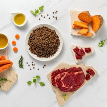 VetExpert VEE Raw Paleo Ultra Mini Puppy Govedina - suha hrana za pasje mladiče malih pasem, 2 kg