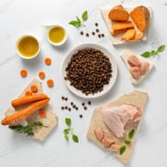 VetExpert RAW PALEO Suha hrana za mladiče z puranom 2 kg - brez glutena, soje in umetnih barvil, posebej za srednje in velike pasme