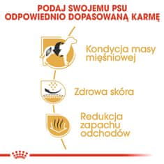 Royal Canin ROYAL CANIN Hrana za odrasle francoske buldoge - suha pasja hrana - 3 kg, za zdravje in dobro počutje vašega psa