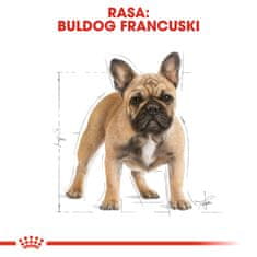 Royal Canin ROYAL CANIN Hrana za odrasle francoske buldoge - suha pasja hrana - 3 kg, za zdravje in dobro počutje vašega psa