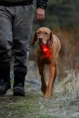 Ruffwear The Beacon Varnostna luč za psa