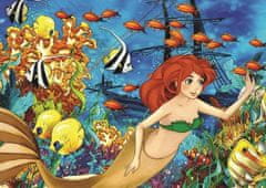 Art puzzle Potopljena ladja Puzzle 100 kosov