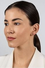 Brilio Silver Pozlačeni viseči uhani s cirkoni EA1123Y