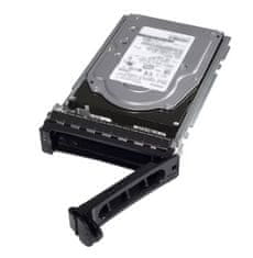 DELL Dell/2,4 TB/HDD/3,5"/SAS/10K RPM/1R