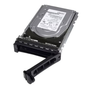 DELL Dell/2,4 TB/HDD/3,5"/SAS/10K RPM/1R