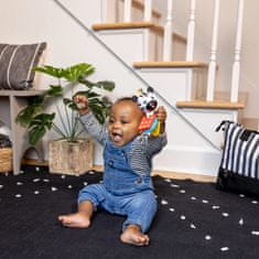 BABY EINSTEIN Zebra Zen Shake-a-Shape Brez BPA 0m+