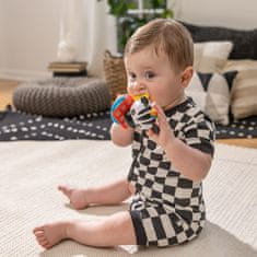 BABY EINSTEIN Zebra Zen Shake-a-Shape Brez BPA 0m+