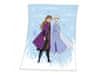 HERDING Otroška odeja iz flisa 130/160cm DISNEY FROZEN 2